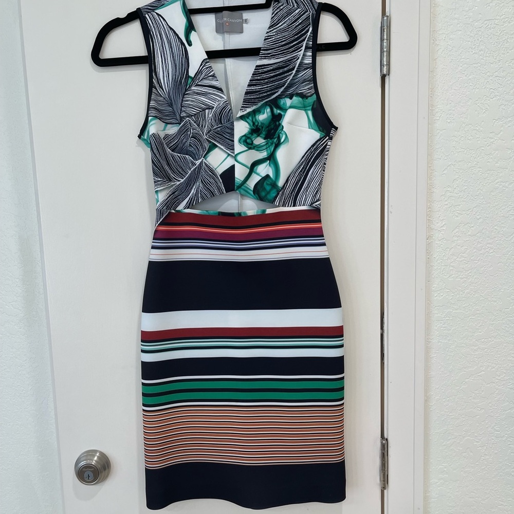 Clover Canyon cut out dress